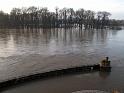 2011-01-17, Pillnitz (5)